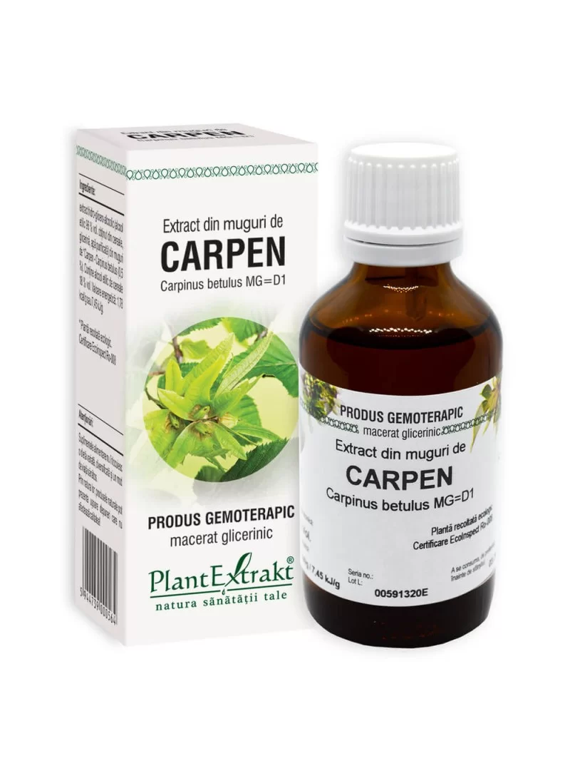 Extract din muguri de carpen 50ml PlantExtrakt