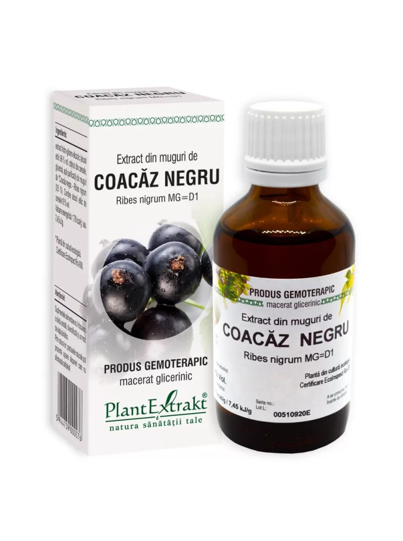 Extract muguri coacaz negru