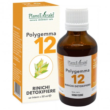 Polygemma 12 Rinichi detoxifiere 50ml PlantExtrakt