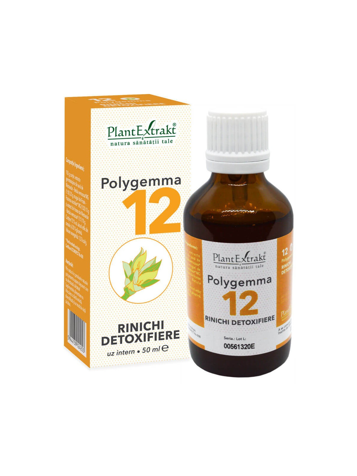 Polygemma 12 Rinichi detoxifiere 50ml PlantExtrakt
