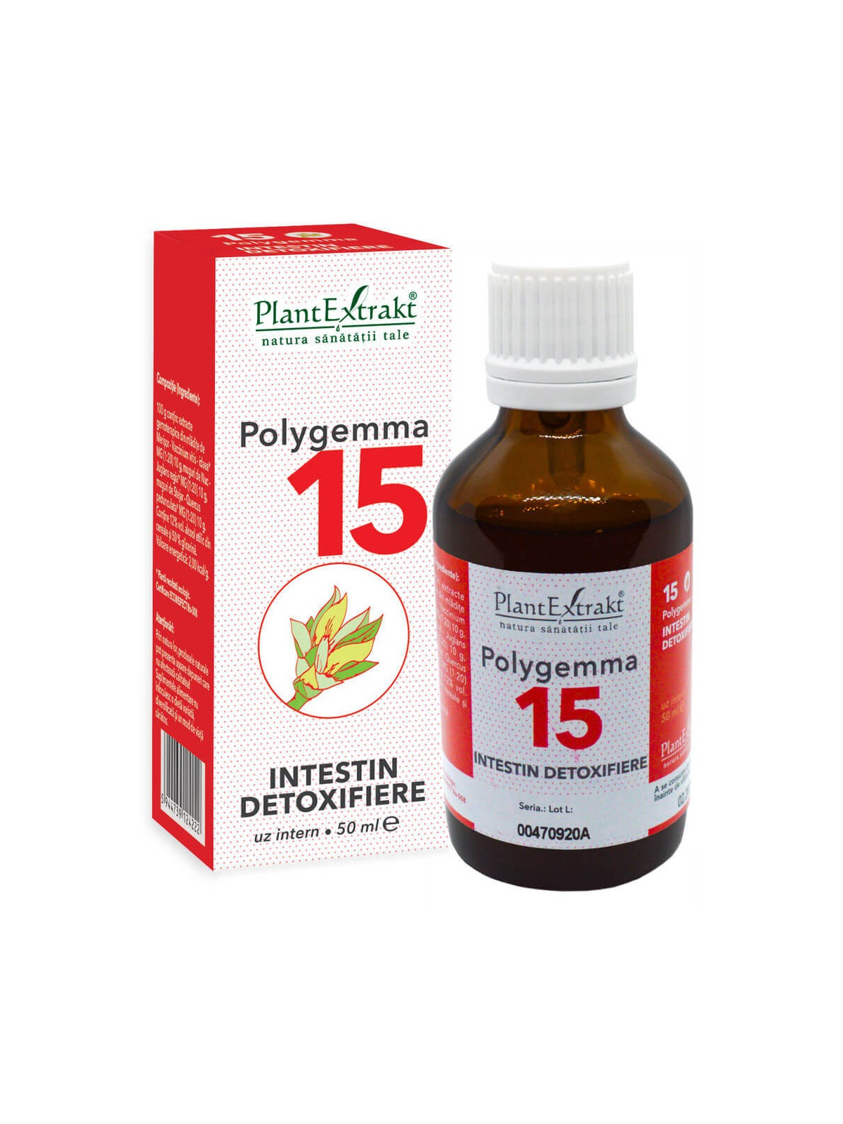 Polygemma 15 Intestin detoxifiere 50ml PlantExtrakt