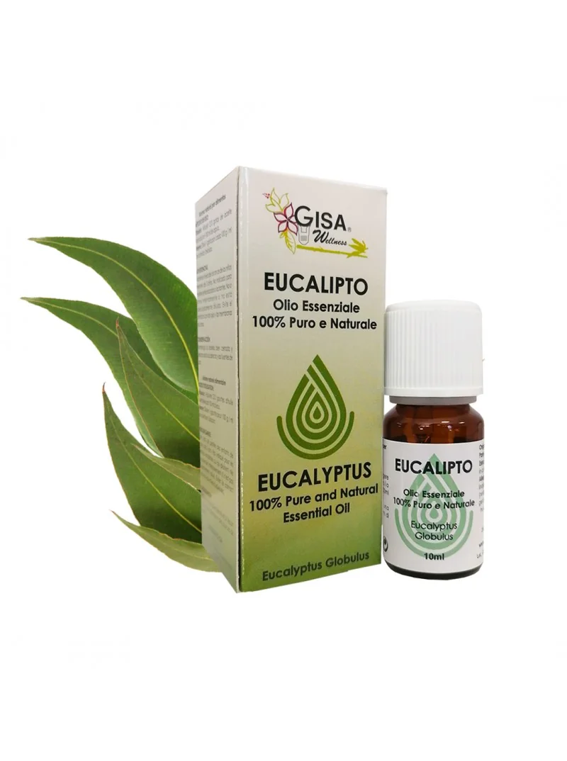 Ulei esential de eucalipt 10ml Gisa