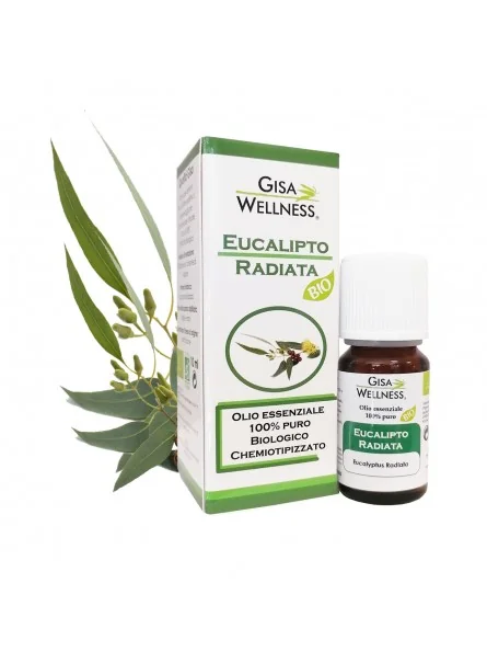 Ulei esential de eucalipt bio 10ml Gisa