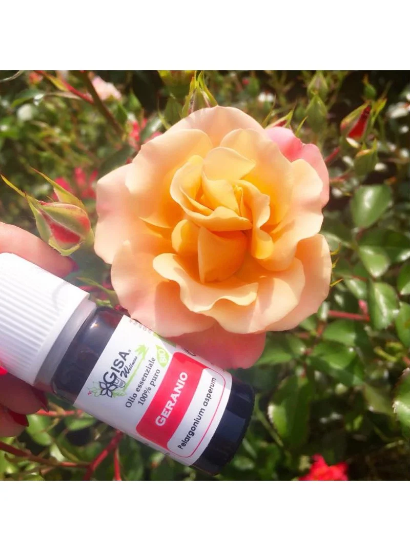 Ulei esential de Geranium bio 5ml Gisa