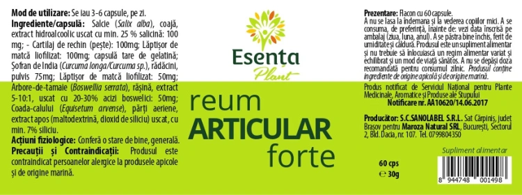 ReumArticular Forte 60 capsule Esenta Plant