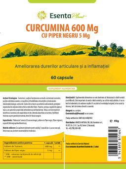 Curcumina 600