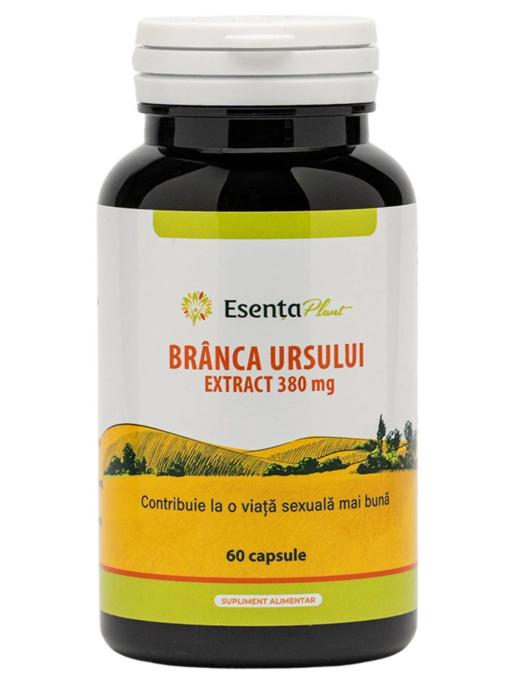 Branca ursului