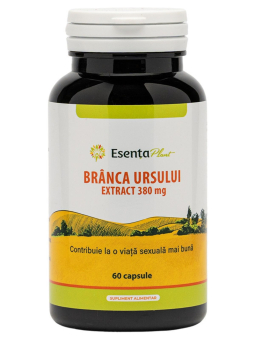 Branca ursului