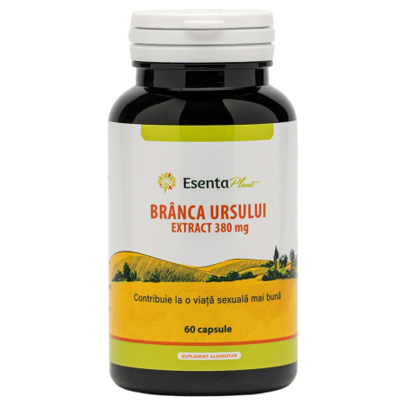 Branca ursului