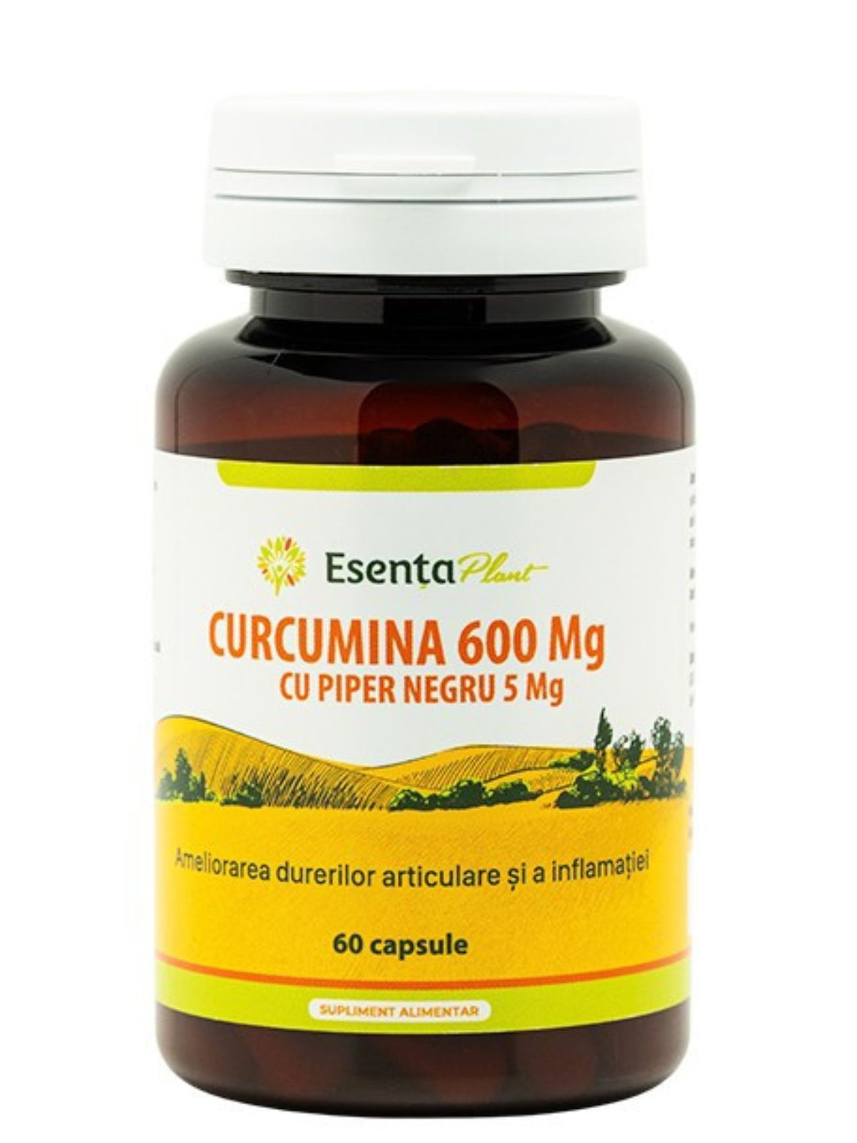 Curcumin 600