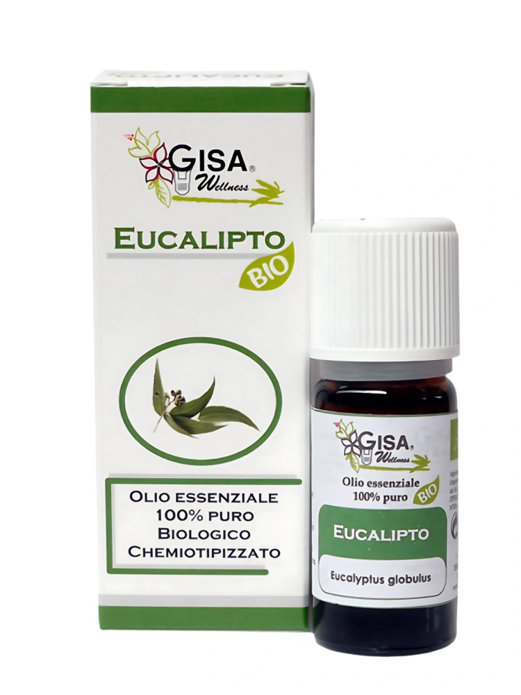 Ulei esential de eucalipt bio 10ml Gisa