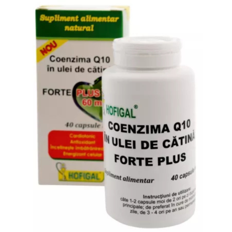 Coenzima Q10 in ulei de catina 60mg 40 capsule Hofigal