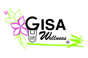 Logo Gisa